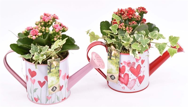 Zink gieter roze/rood hart 24x10cm, D 24