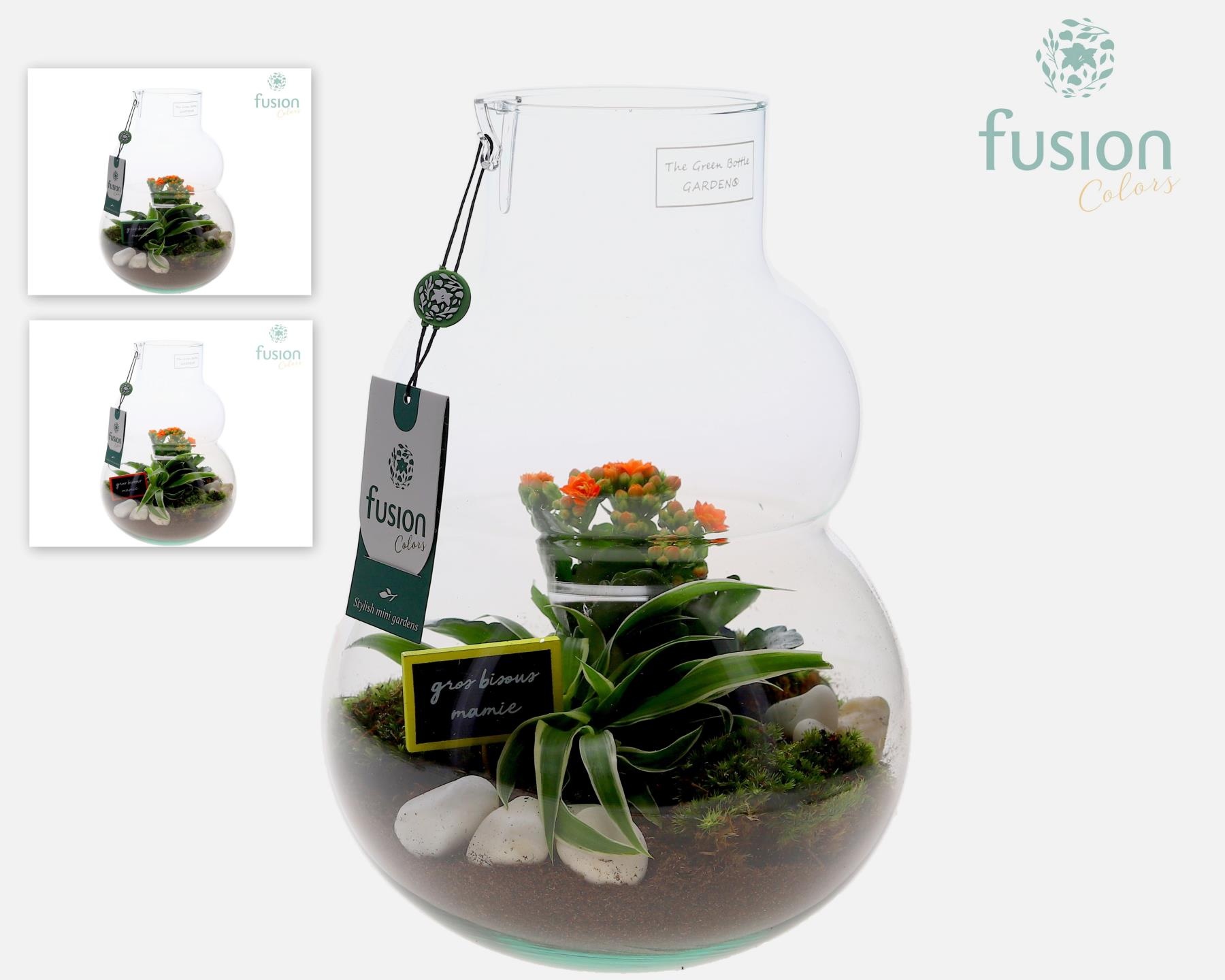 Green Bottle Olaf Medium met Grootmoederdag arrangement, D 21