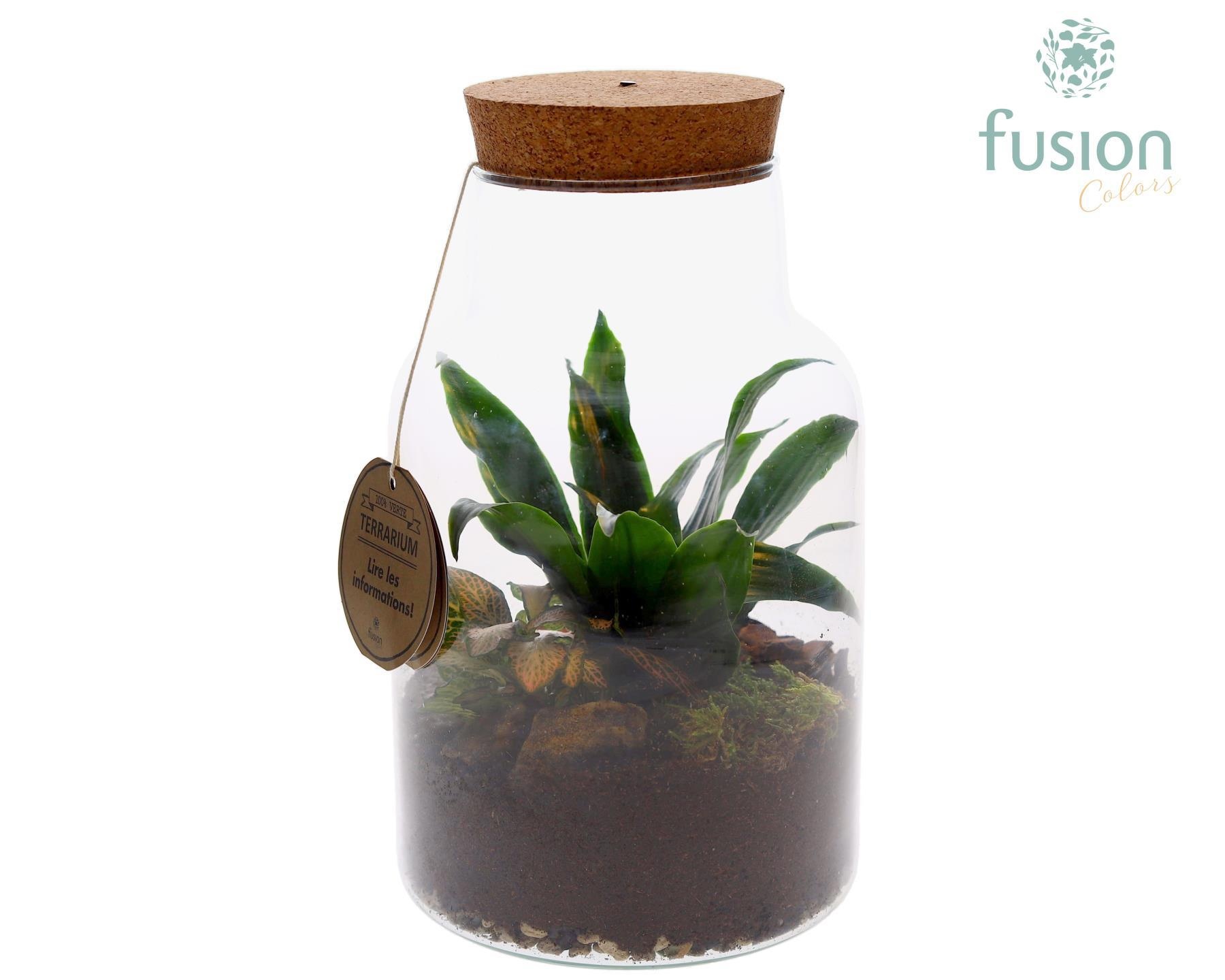 Terrarium met kurk voorzien van LED verlichting, D 17
