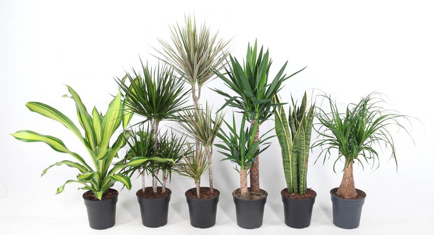 Mix pot 21 100cm, D 21