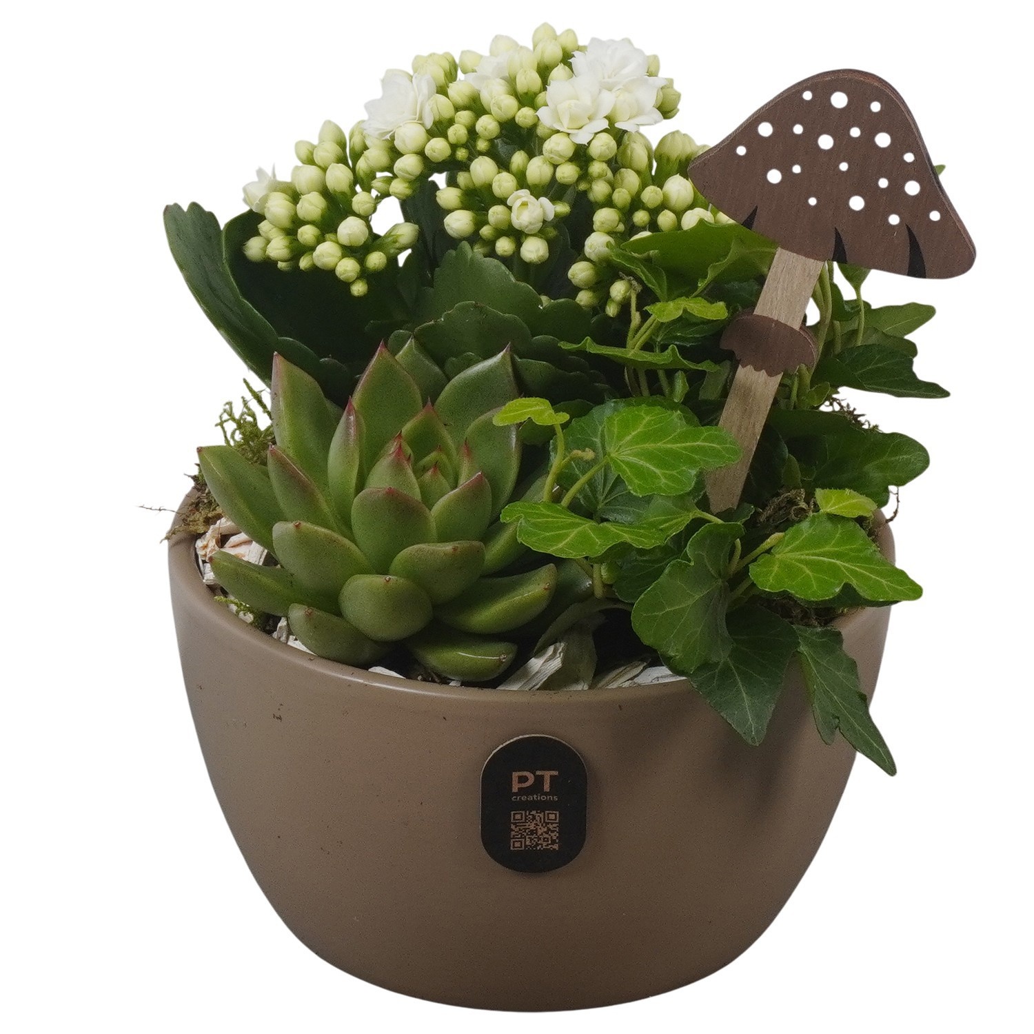 PTHI3245 Arrangement Autumn Indoor in keramiek schaal, D 14