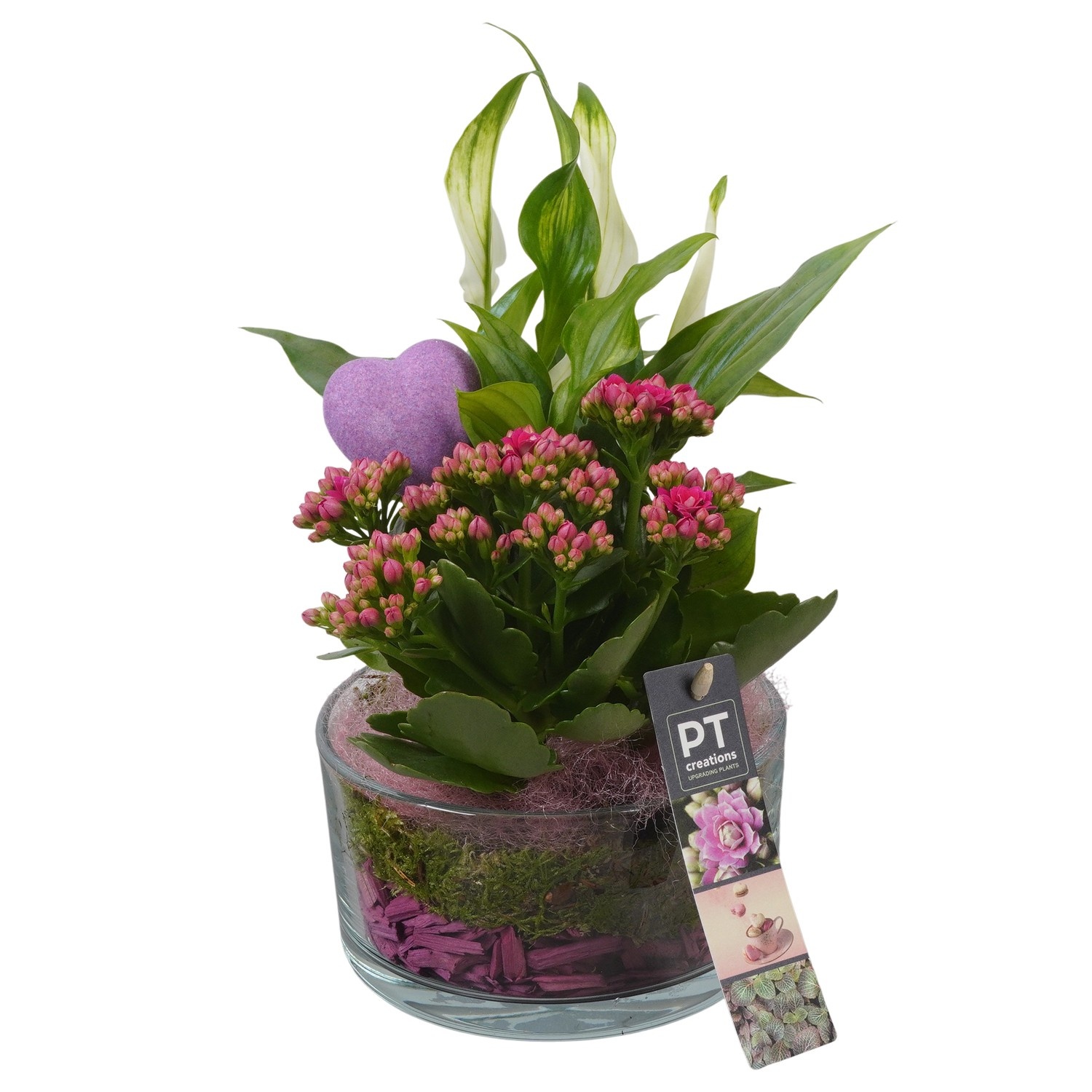 PTVMG4917 Arrangement Valentines-Mothersday in glas schaal, D 14