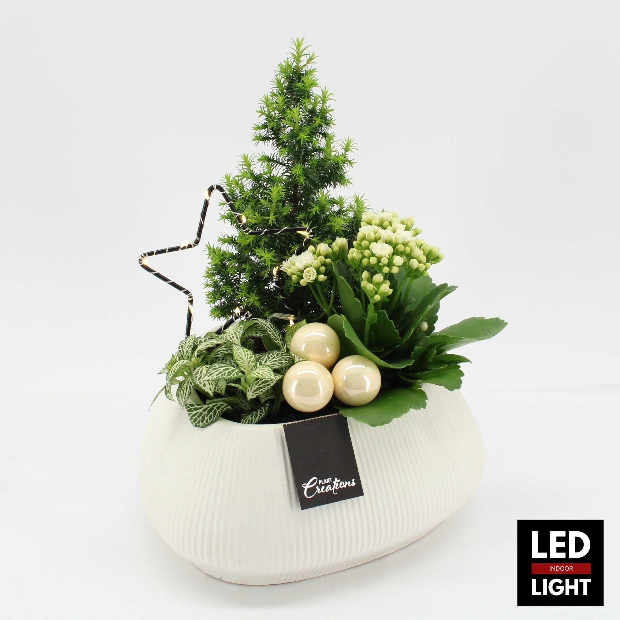 XMAS-25302LED Kerst creatie, D 24 cm XMAS-25302LED Kerst creatie, D 24 cm