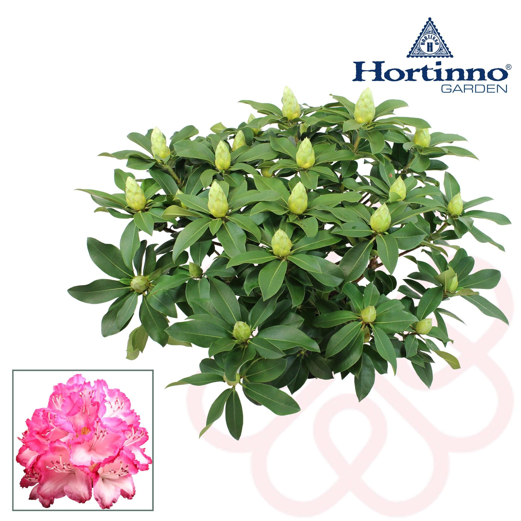 Hortinno® Garden XXL The Original groen 80 - 90 cm, D 35 cm