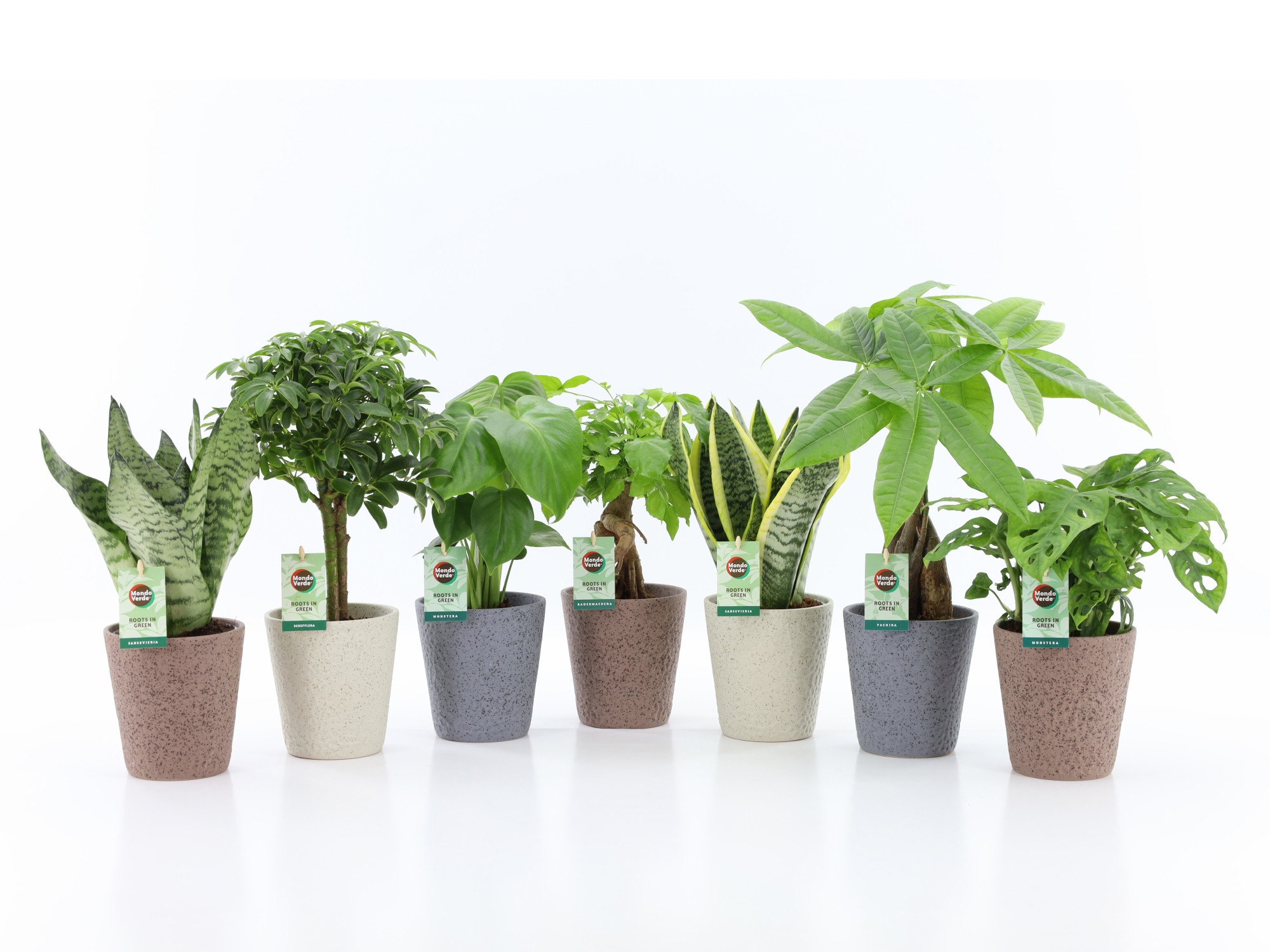 Easy to Care Mix in Nature Keramiek, D 13