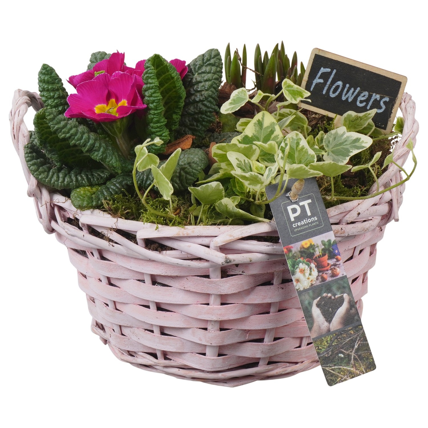 PTBM3856 Arrangement Flower Bulbs Mix in rieten mand, D 20