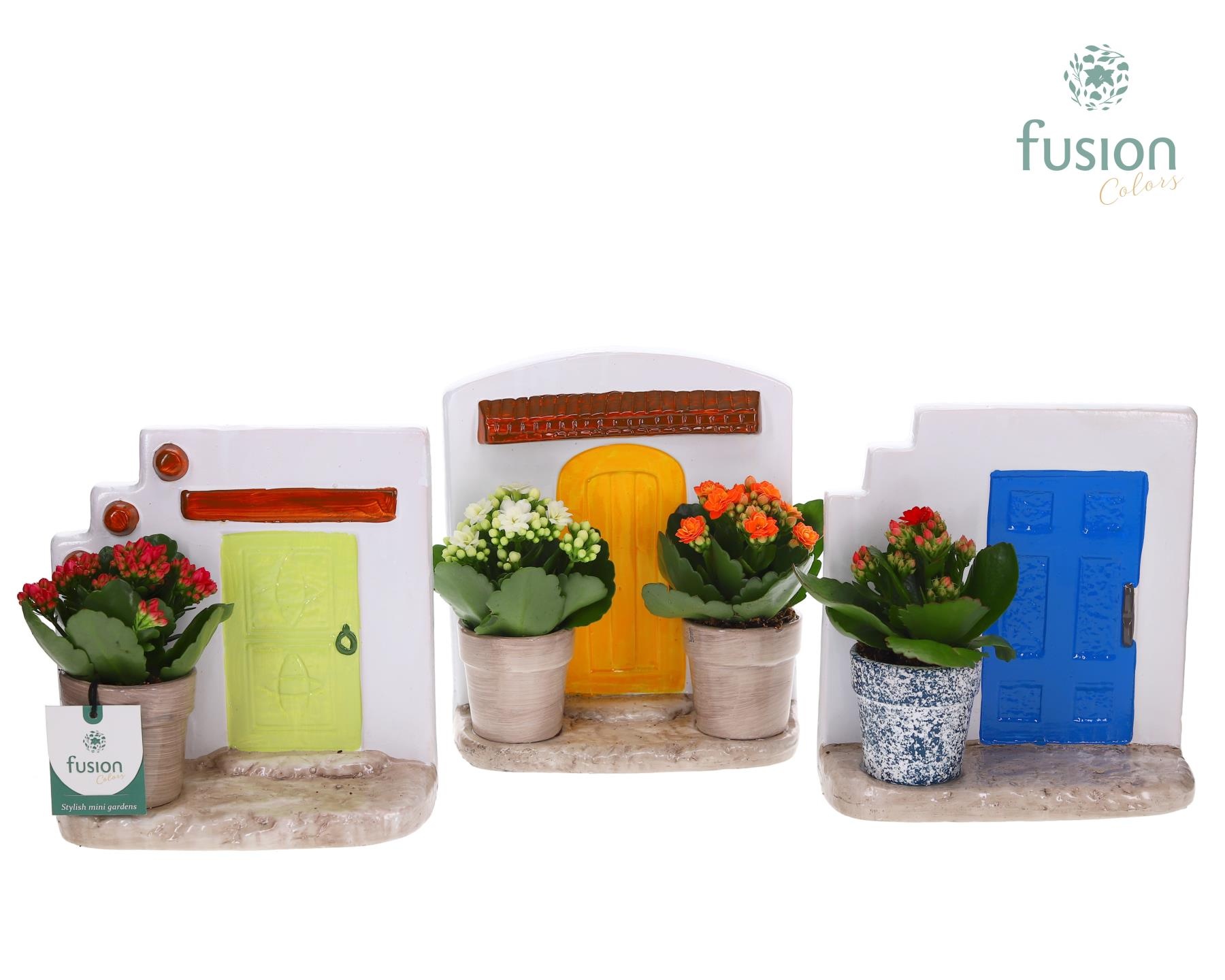 Terracotta Muurplanter met Kalanchoe, D 20 cm