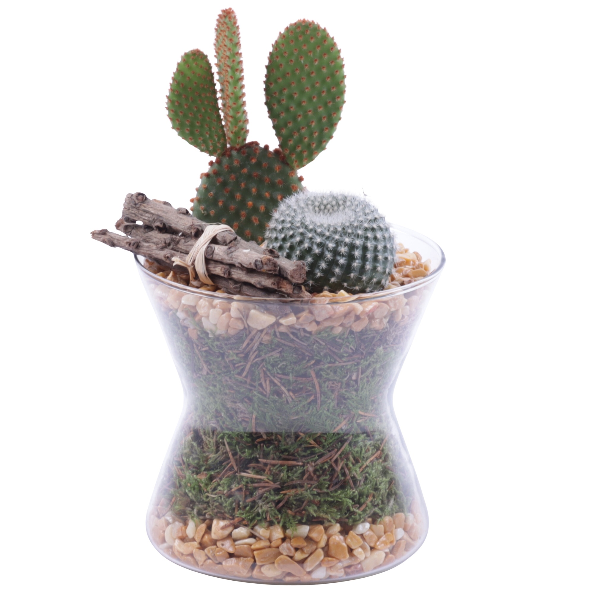 Yearround Arr. Cactus Glass Hourglass Ø13cm 2PP, D 13