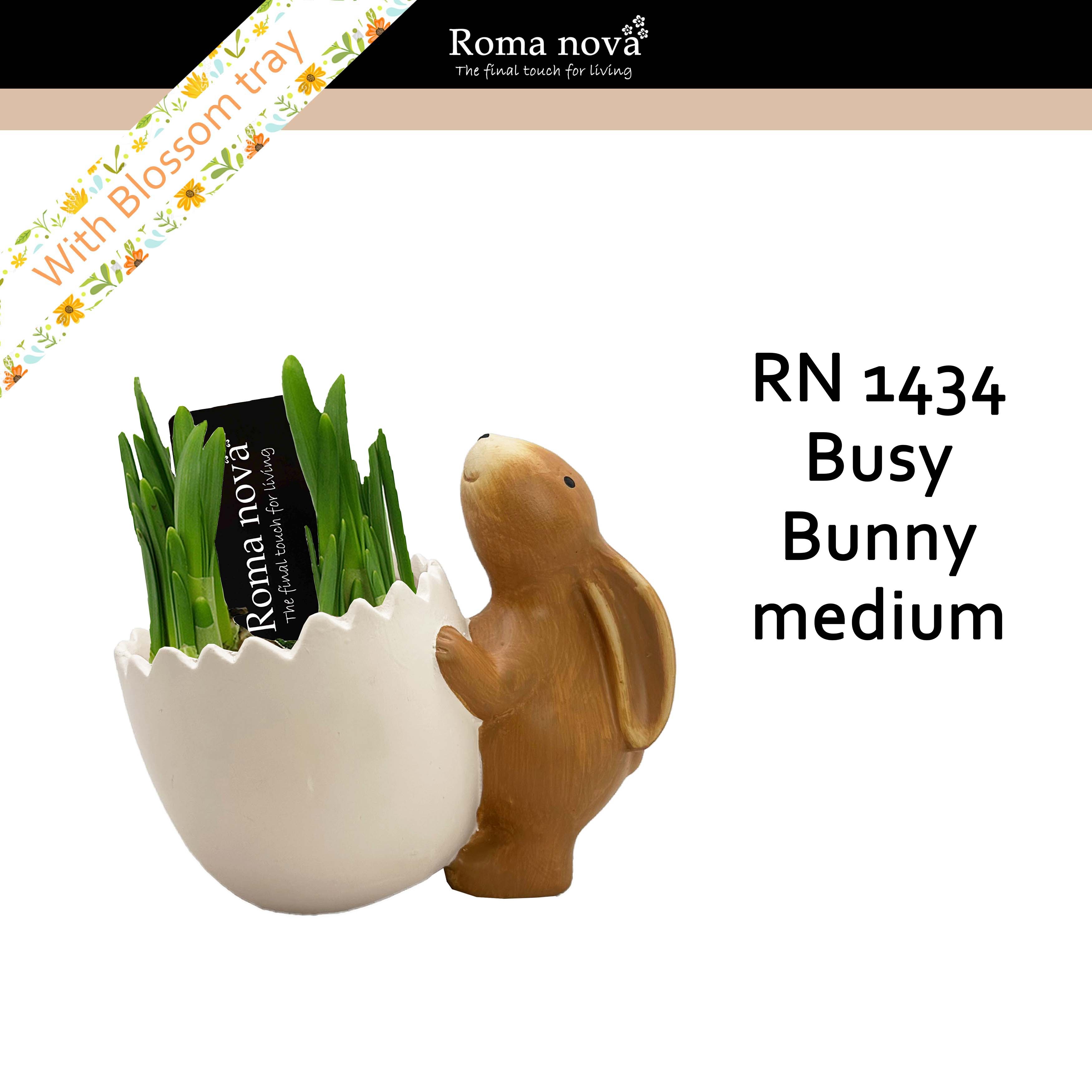 1434 - Busy Bunny medium (Tete a Tete), D 15 cm