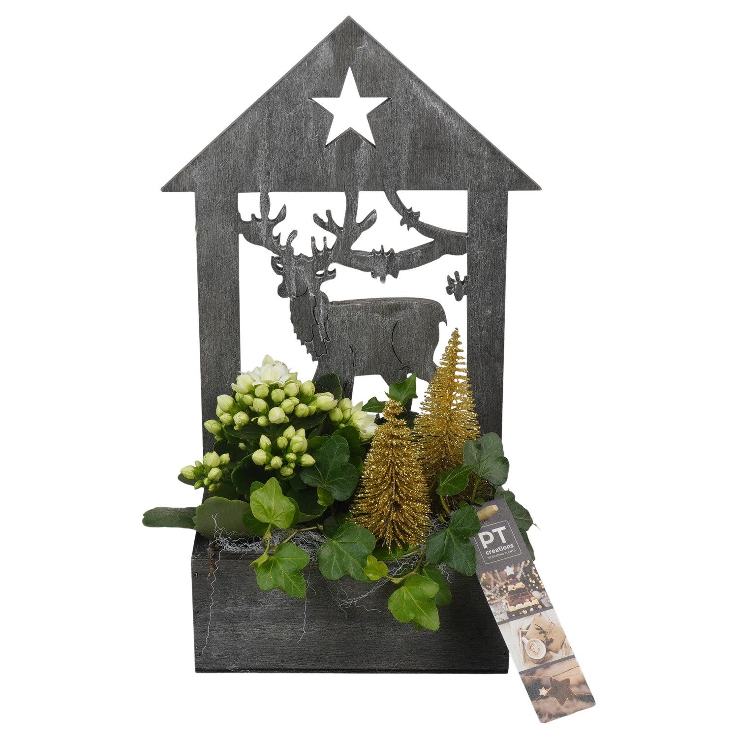 PTCHG5700 Arrangement Christmas Gold in houten bak, D 16 cm