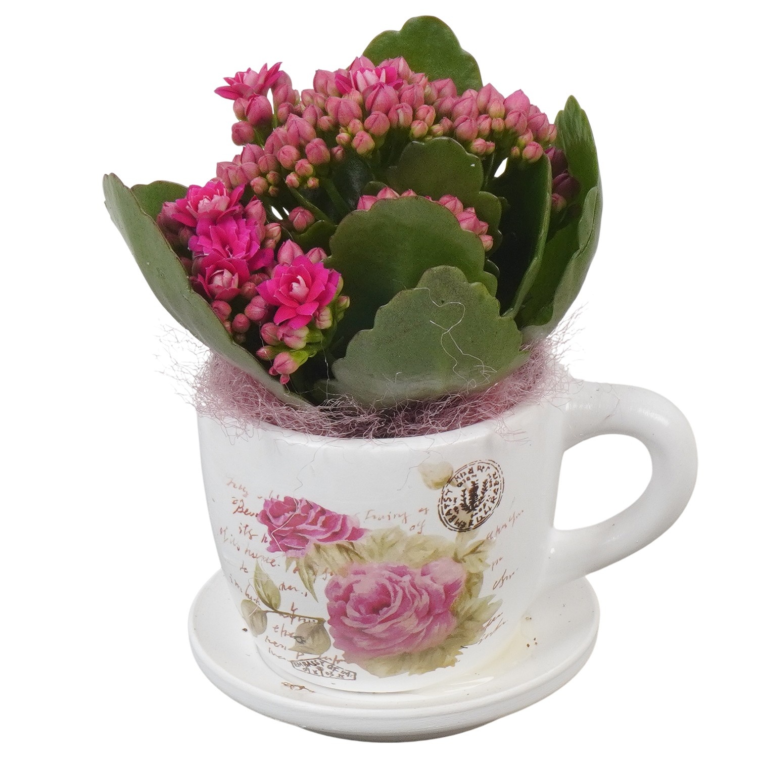 PTVMB2260 Arrangement Valentines-Mothersday in keramiek kop en schotel, D 8