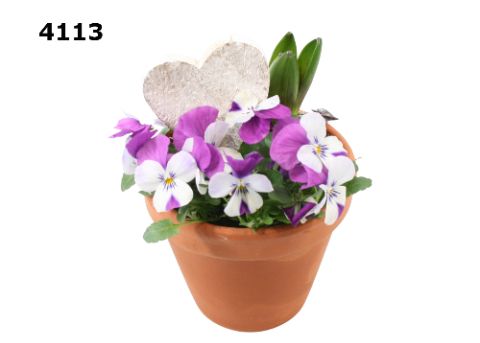 Voorjaar roodsteen bloempot S, D 12