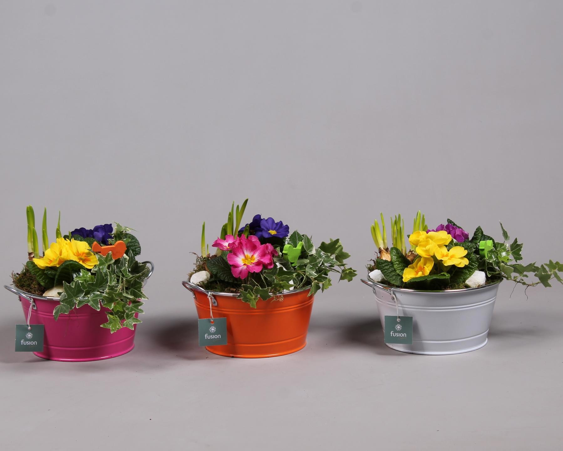 Schaal zink rond Voorjaar met Arrangement verschillende kleuren, D 20