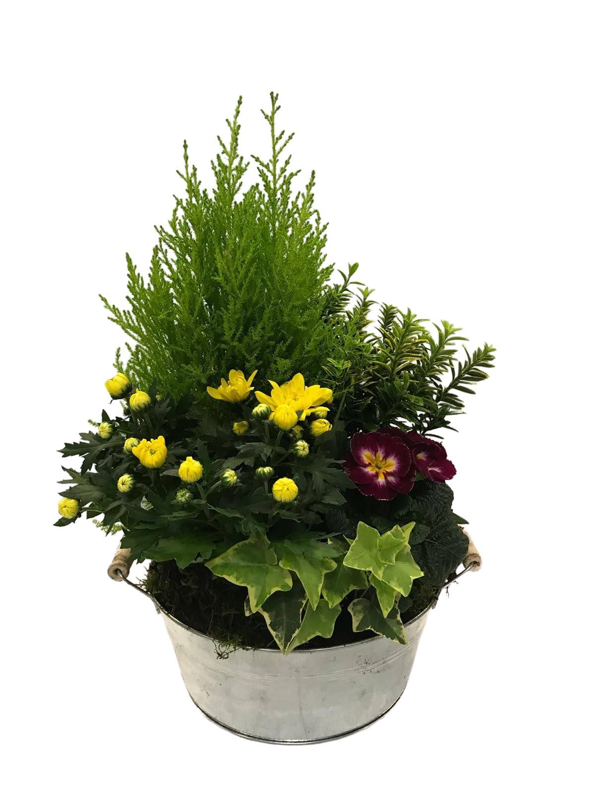 Buitenschaal arrangement A5 Zink, D 26