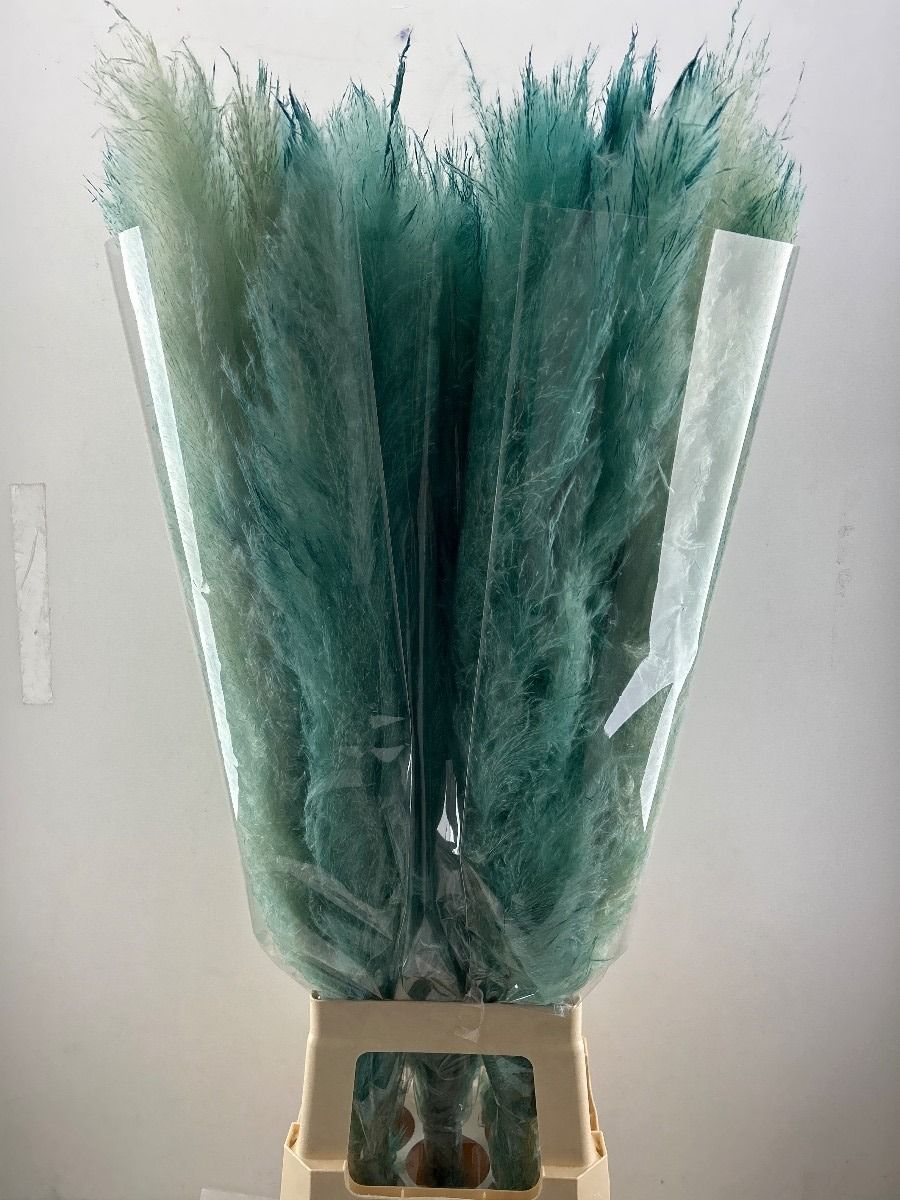 Кортадерия Овериг Крашеная (краш. ) 120, шт.