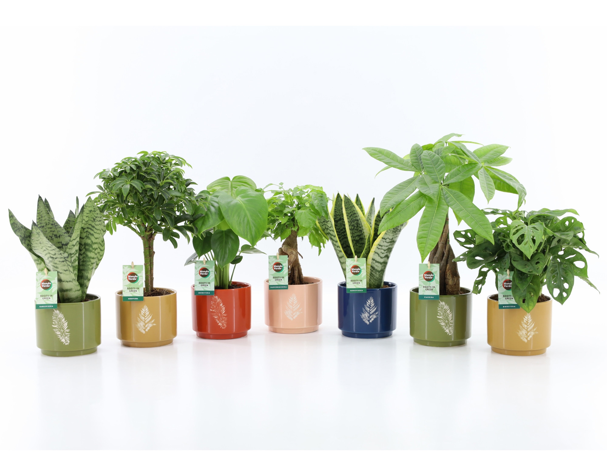 Easy to Care mix in Artistique Keramiek, D 13