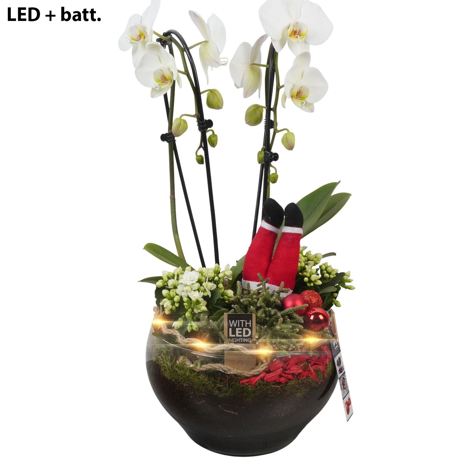 PTCHR7480 Arrangement Christmas Red in glas schaal, D 23 cm