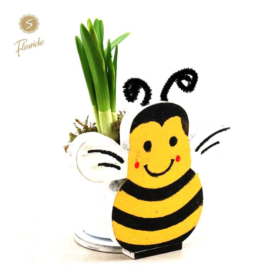 (DN517) Narcissus Bee Friendly Mos, D 15 cm