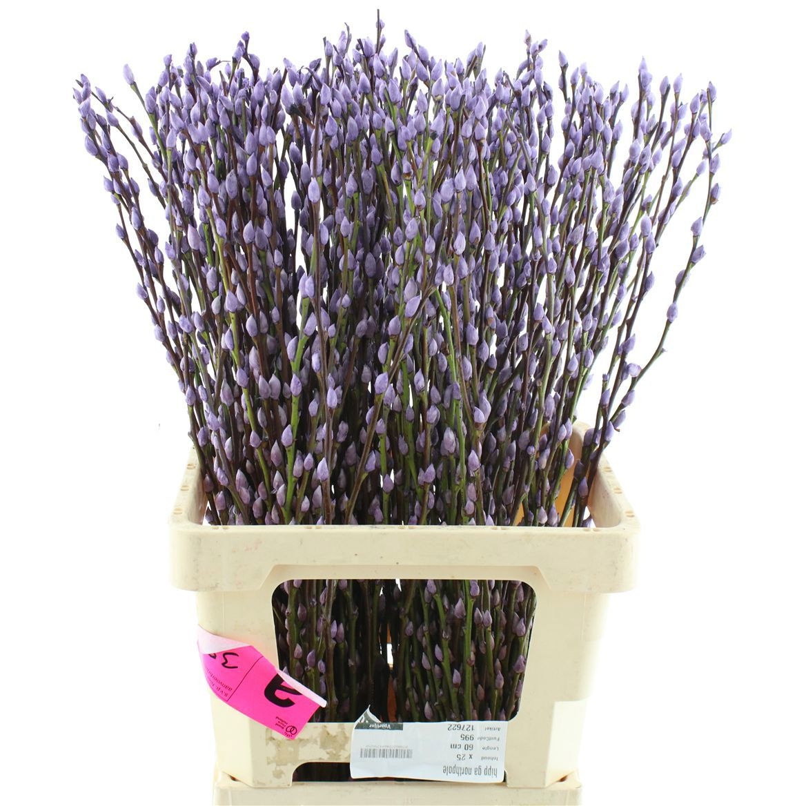 Саликс Сноу Флейк Крашеный (краш. ) 70, шт.