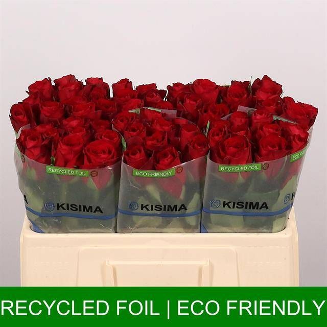 Роза од. Мадам Рэд 50, шт.