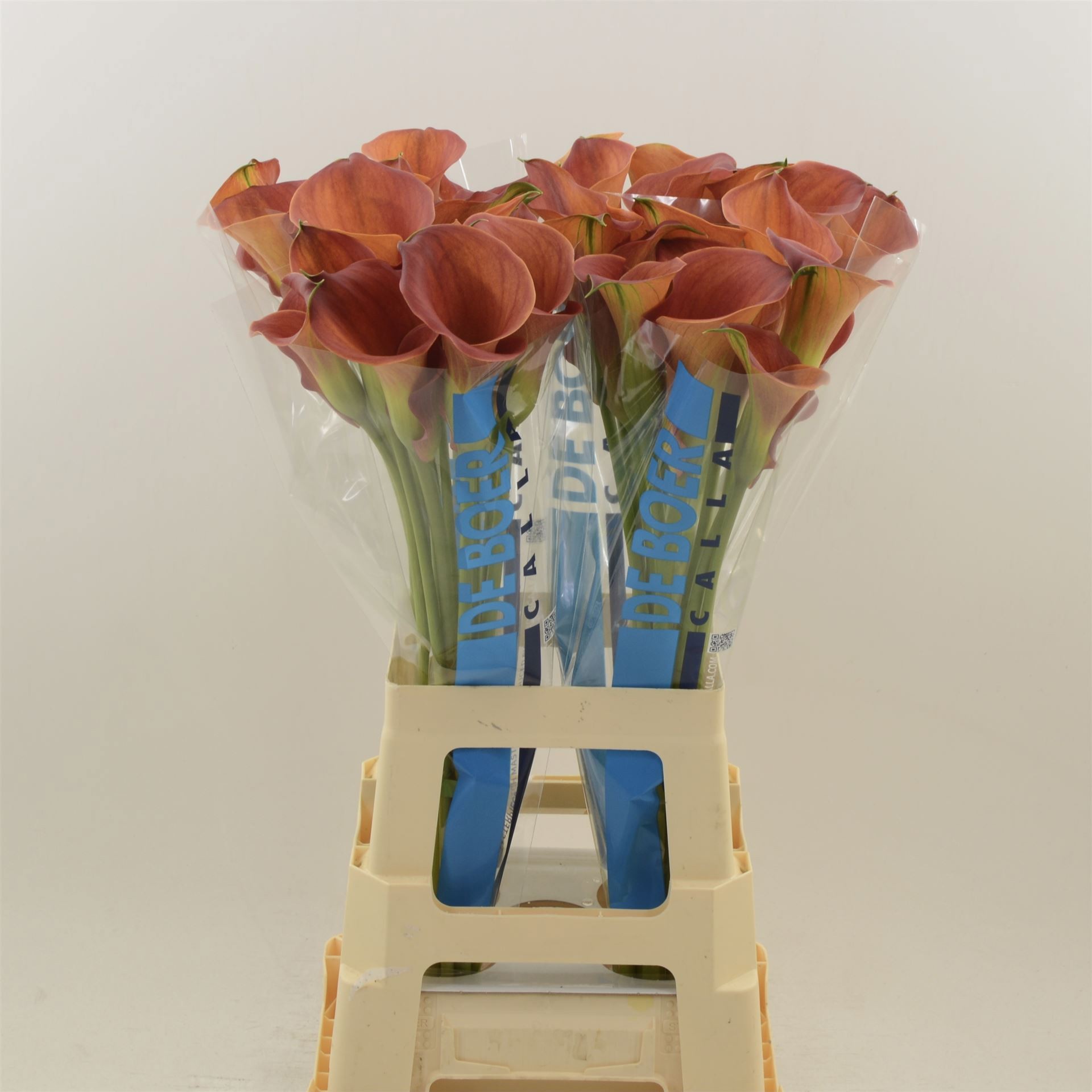 Калла Сансет Пэшн 70, шт.