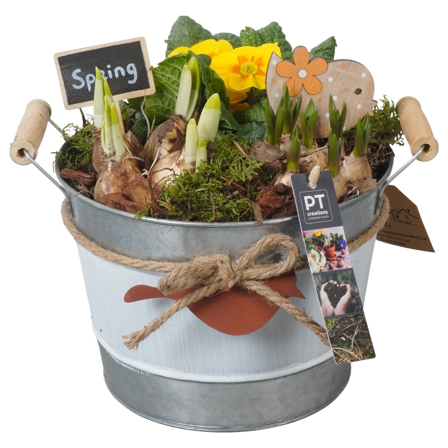 PTBM3795 Arrangement Flower Bulbs Mix in metalen pot, D 21