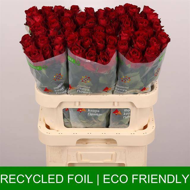 Роза од. Мадам Рэд 80, шт.