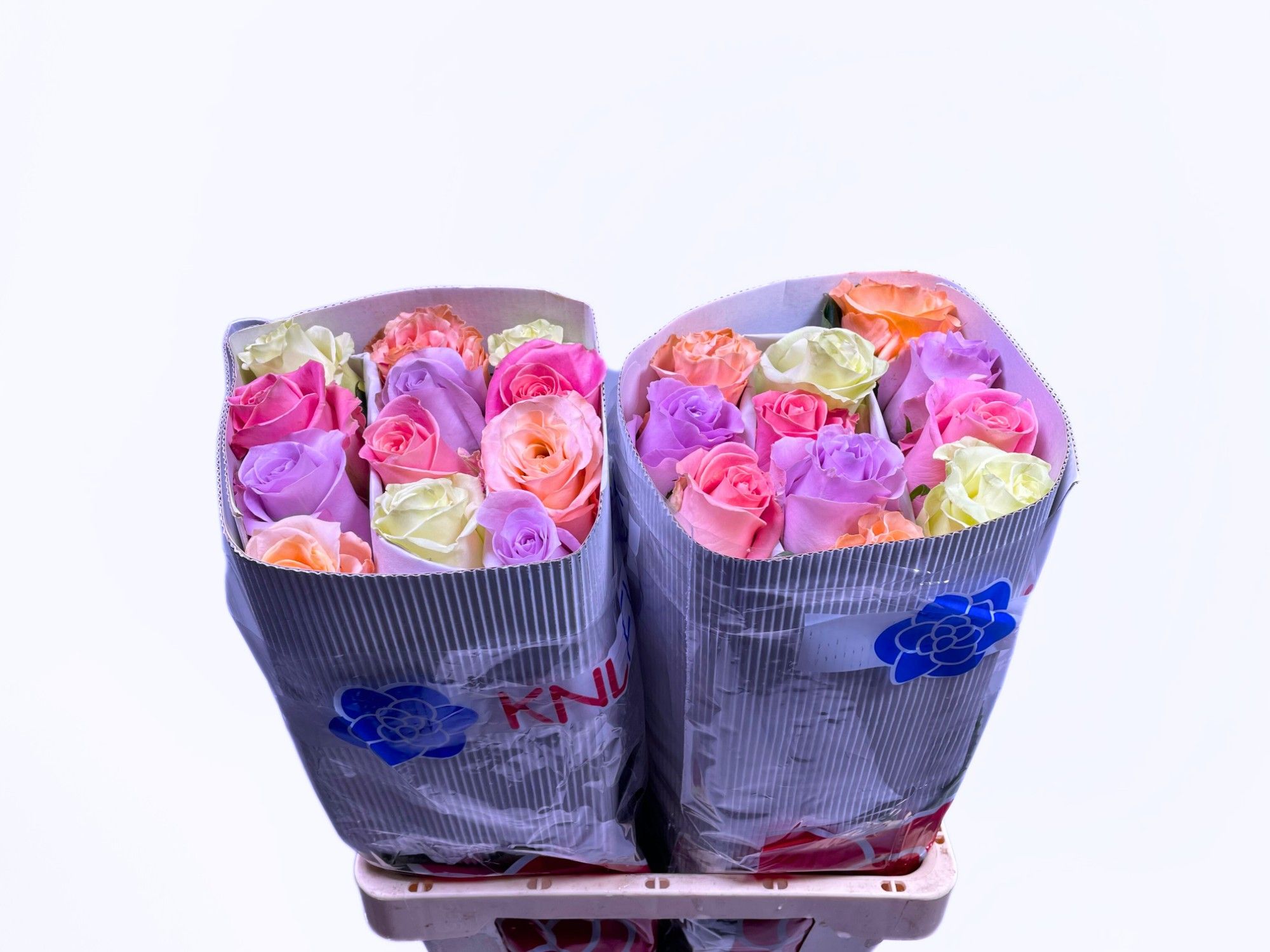 Роза од. Пастель Микс в пачке 50, шт.