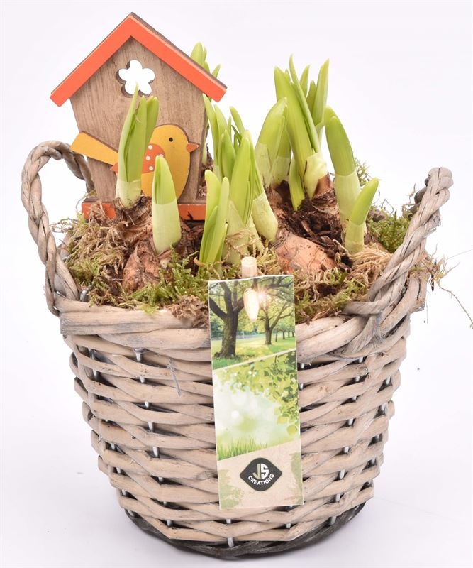 Wilg mand grijs met oor 14cm, D 14