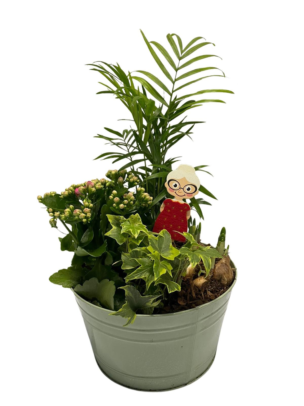 Buitenschaal arrangement GM5 Zink Groen, D 23