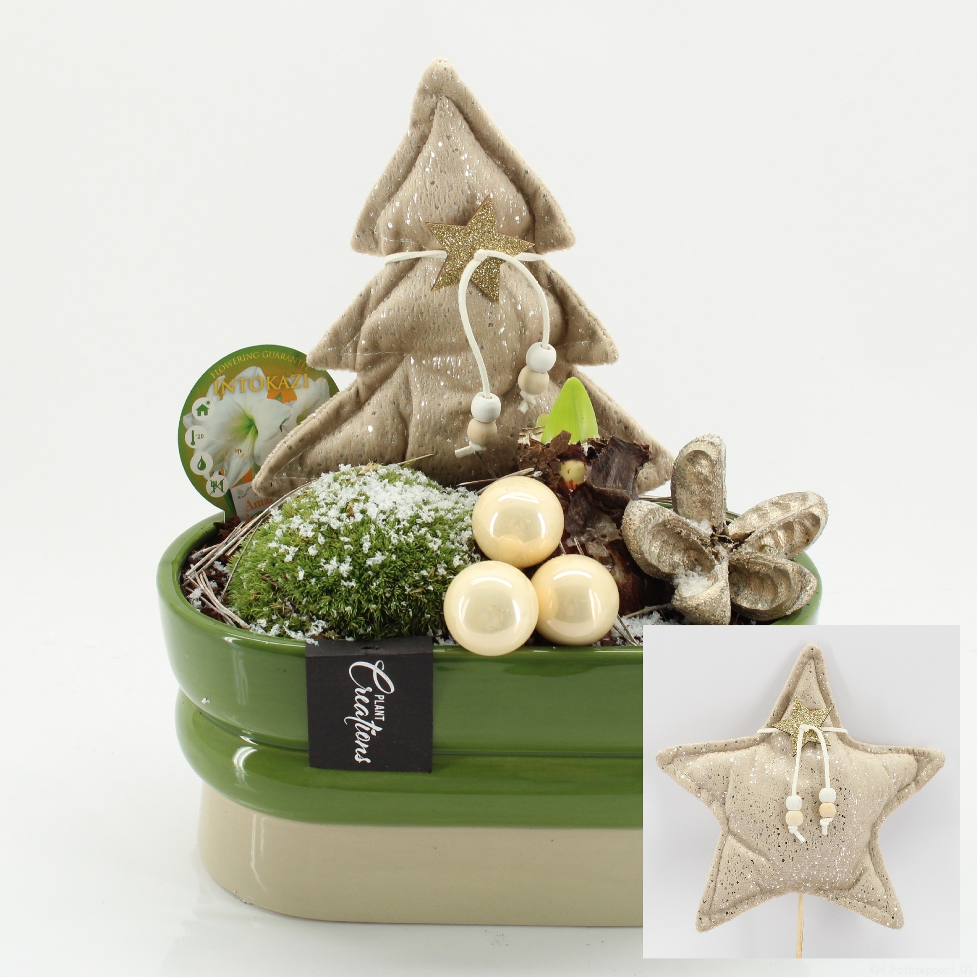 HICR-2517W Kerst Amaryllis, D 23 cm