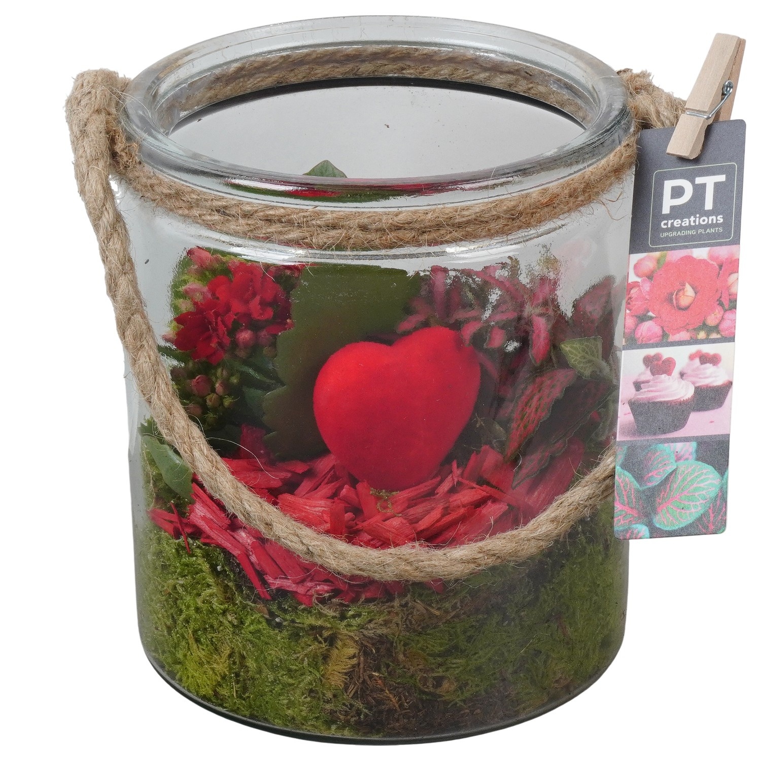 PTVMG4912 Arrangement Valentines-Mothersday in glas vaas, D 14