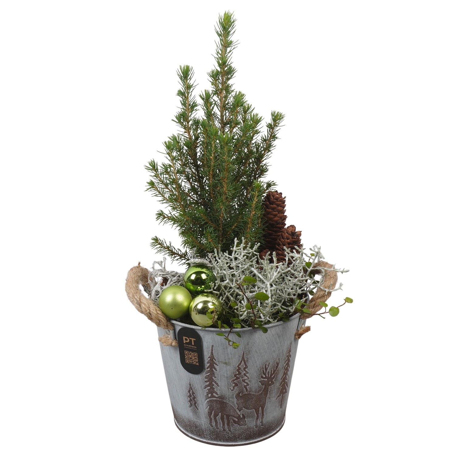 PTCHO5498 Arrangement Christmas Outdoor in metalen pot, D 15