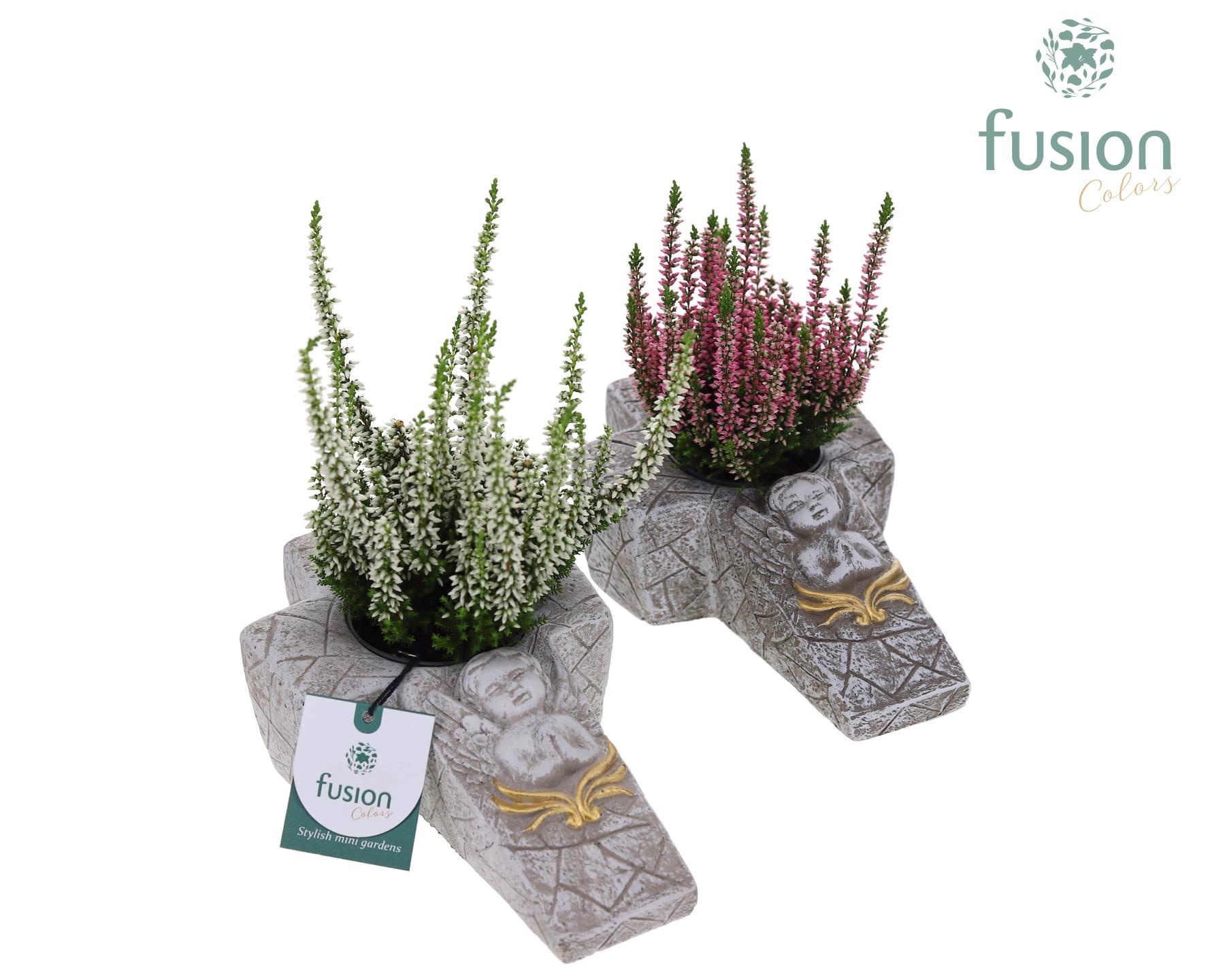 Allerheiligen Kruis met Calluna, D 20 cm Allerheiligen Kruis met Calluna, D 20 cm