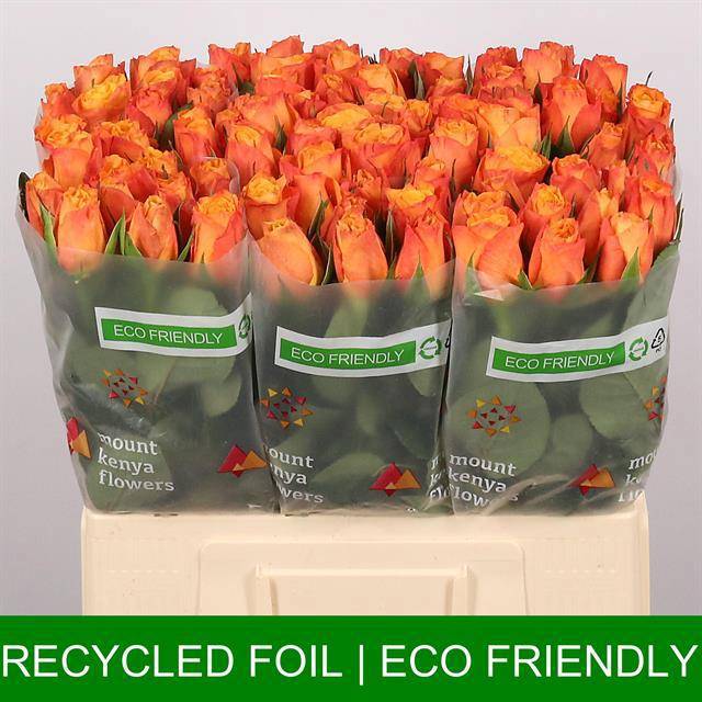 Роза од. Конфиденшиал 60, шт.