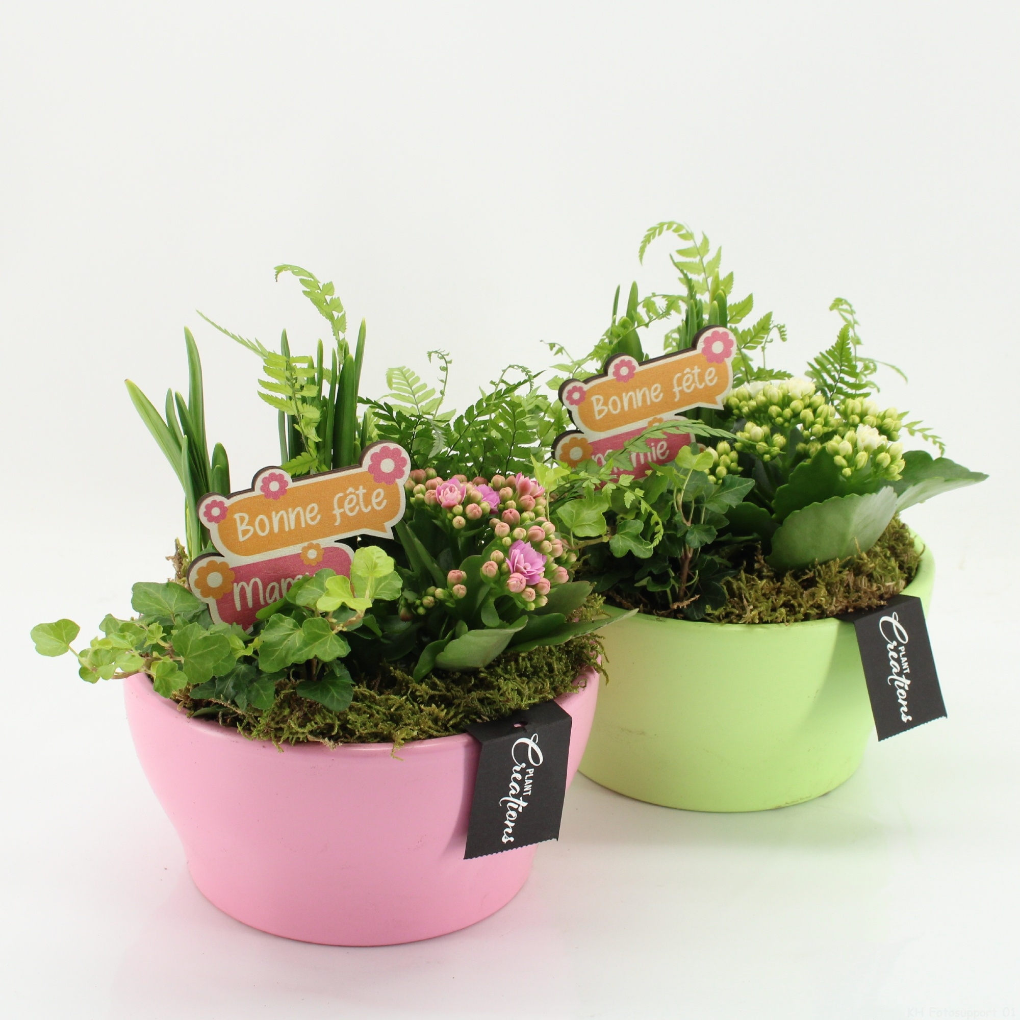 FGCR-2604M Fête des grands-mères, D 19