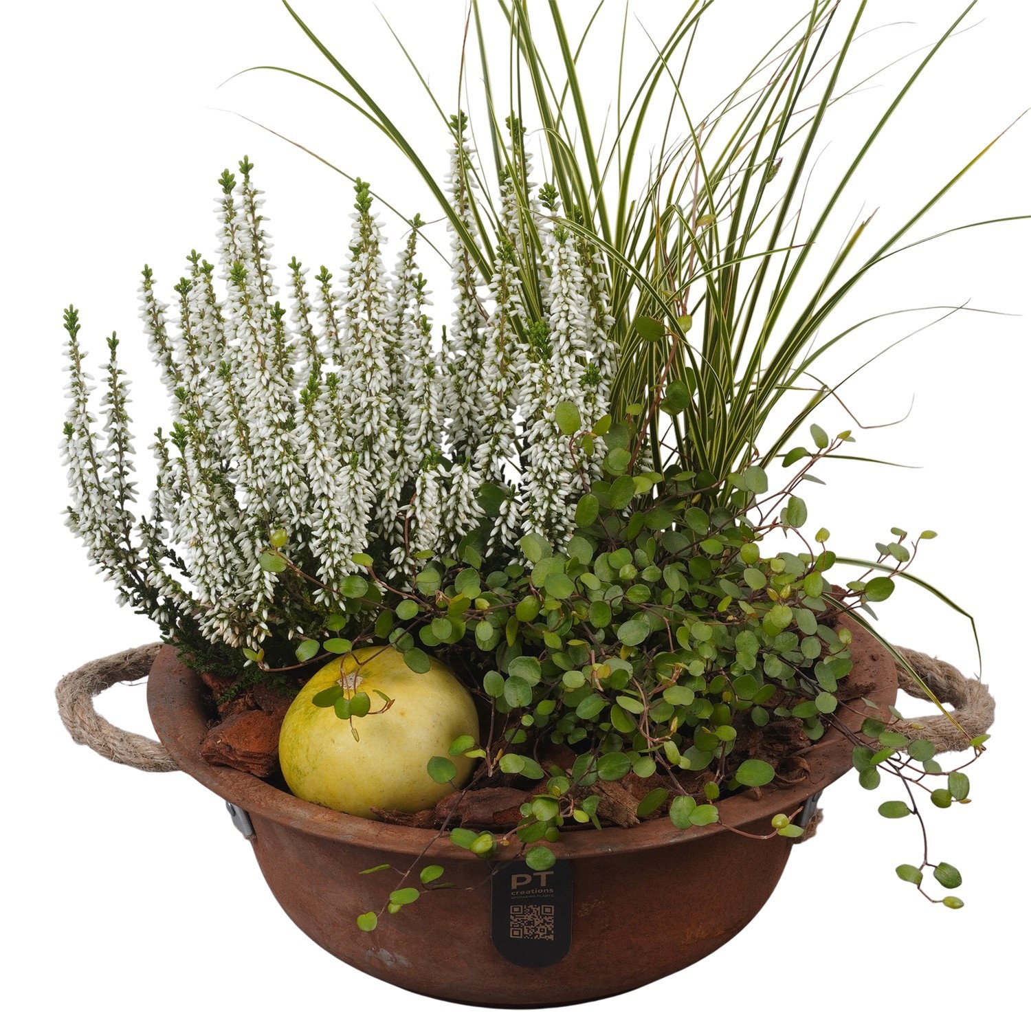 PTHO7558 Arrangement Autumn Outdoor in metalen schaal, D 24