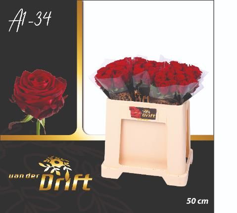 Роза од. Рэд Наоми 50, шт.