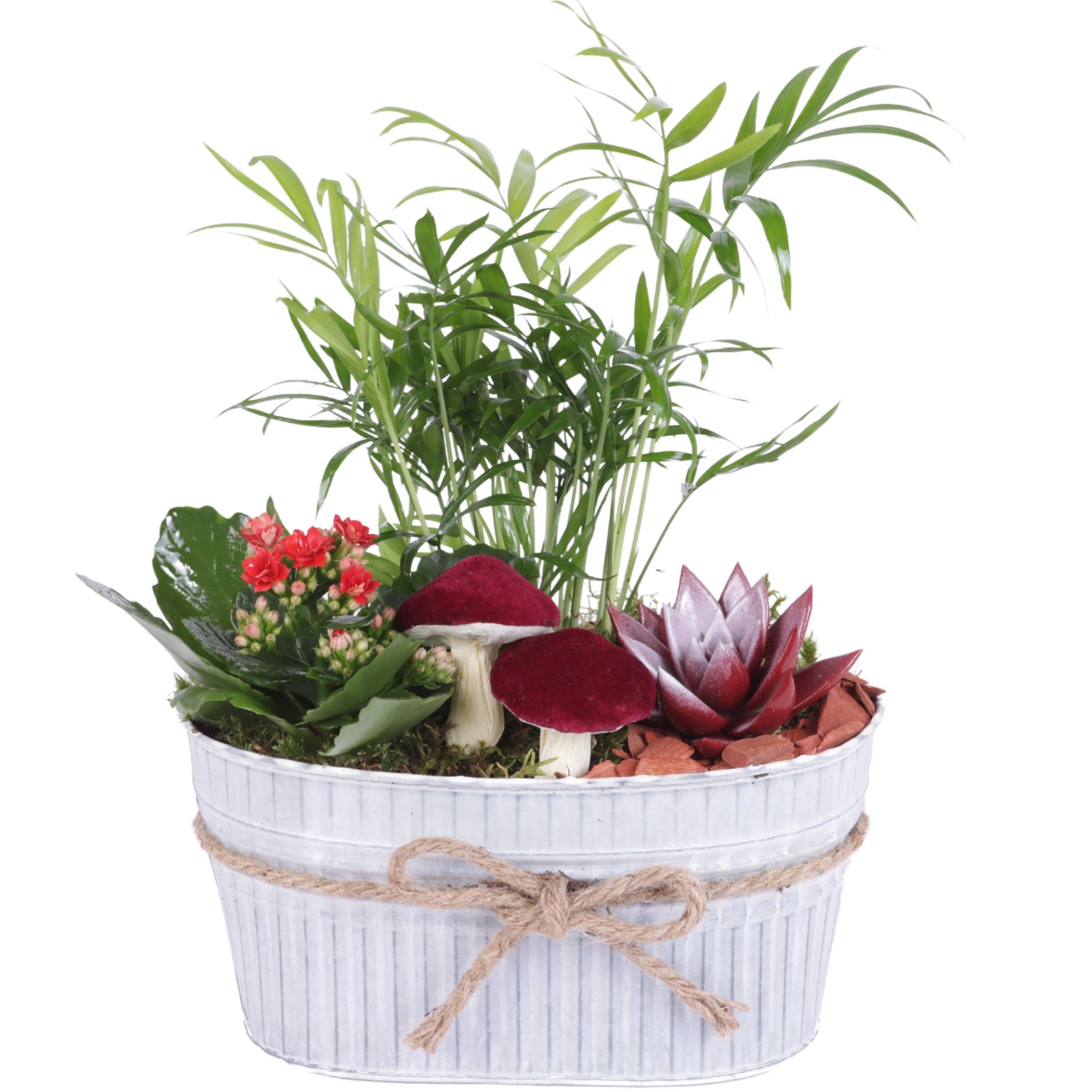 Autumn Arr. Indoor Zinc Pot with Rope Oval Ø25cm 3PP, D 25 cm Autumn Arr. Indoor Zinc Pot with Rope Oval Ø25cm 3PP, D 25 cm