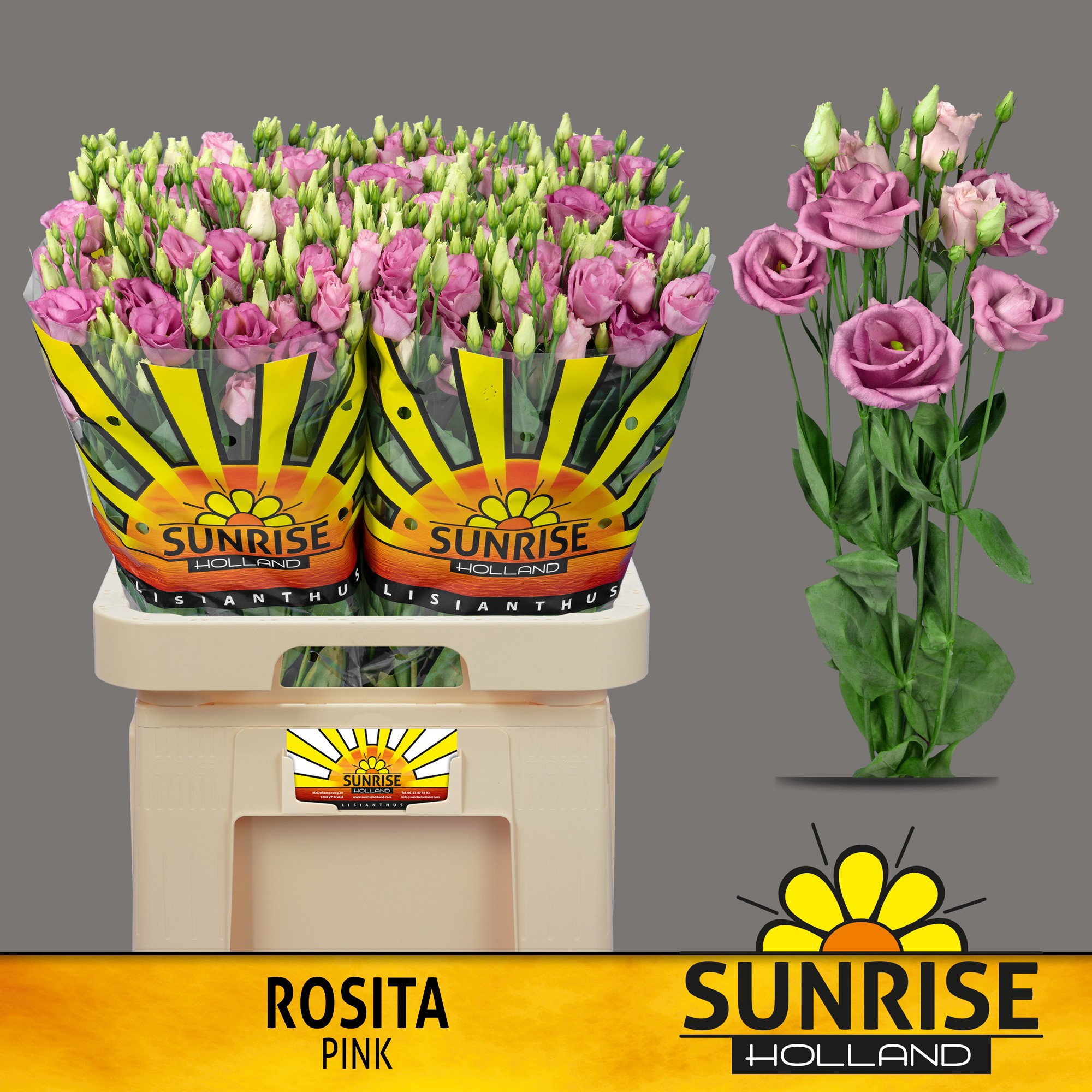 Эустома Розита Роуз пинк 70 (ярко-роз.), шт.