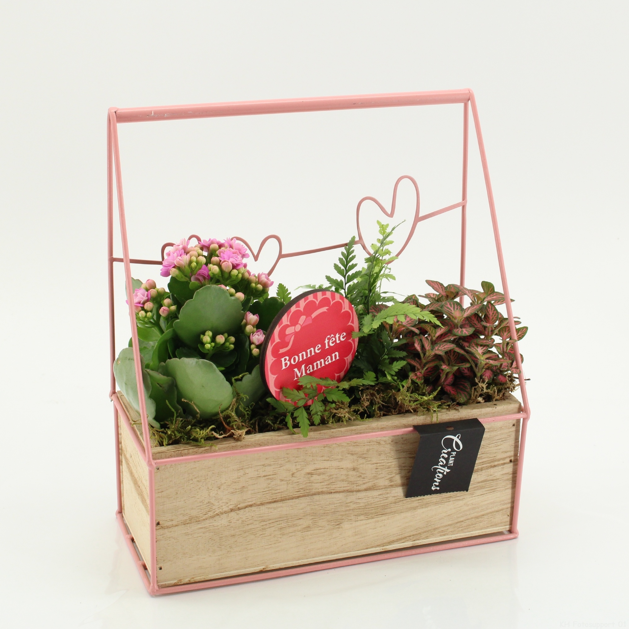 FRMD-2629RZ Bonne Fete Maman, D 23