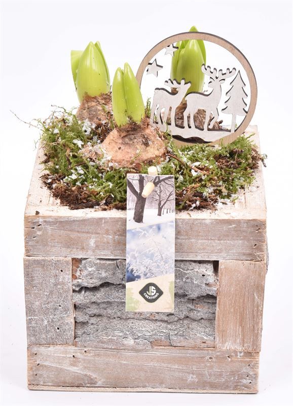 Hout met boomschors 15x15cm, D 15 cm Hout met boomschors 15x15cm, D 15 cm