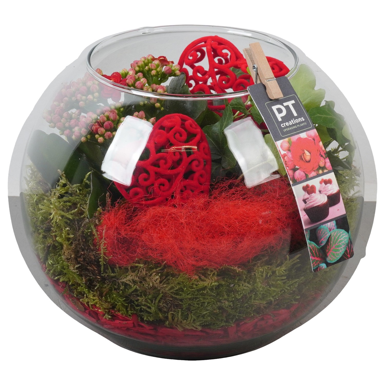 PTVMG4988 Arrangement Valentines-Mothersday in glas bol, D 20