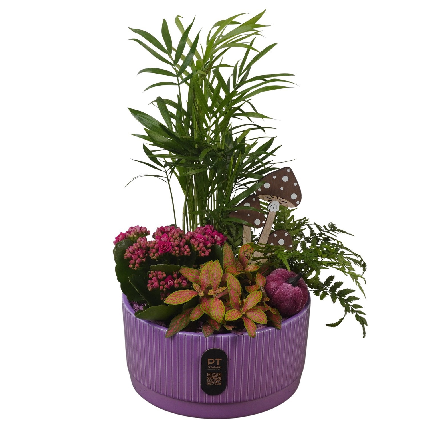 PTHI3215 Arrangement Autumn Indoor in keramiek schaal, D 19