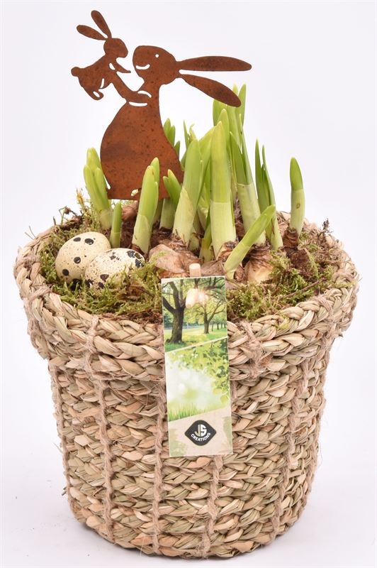 Touwmand met rand 17cm, D 17