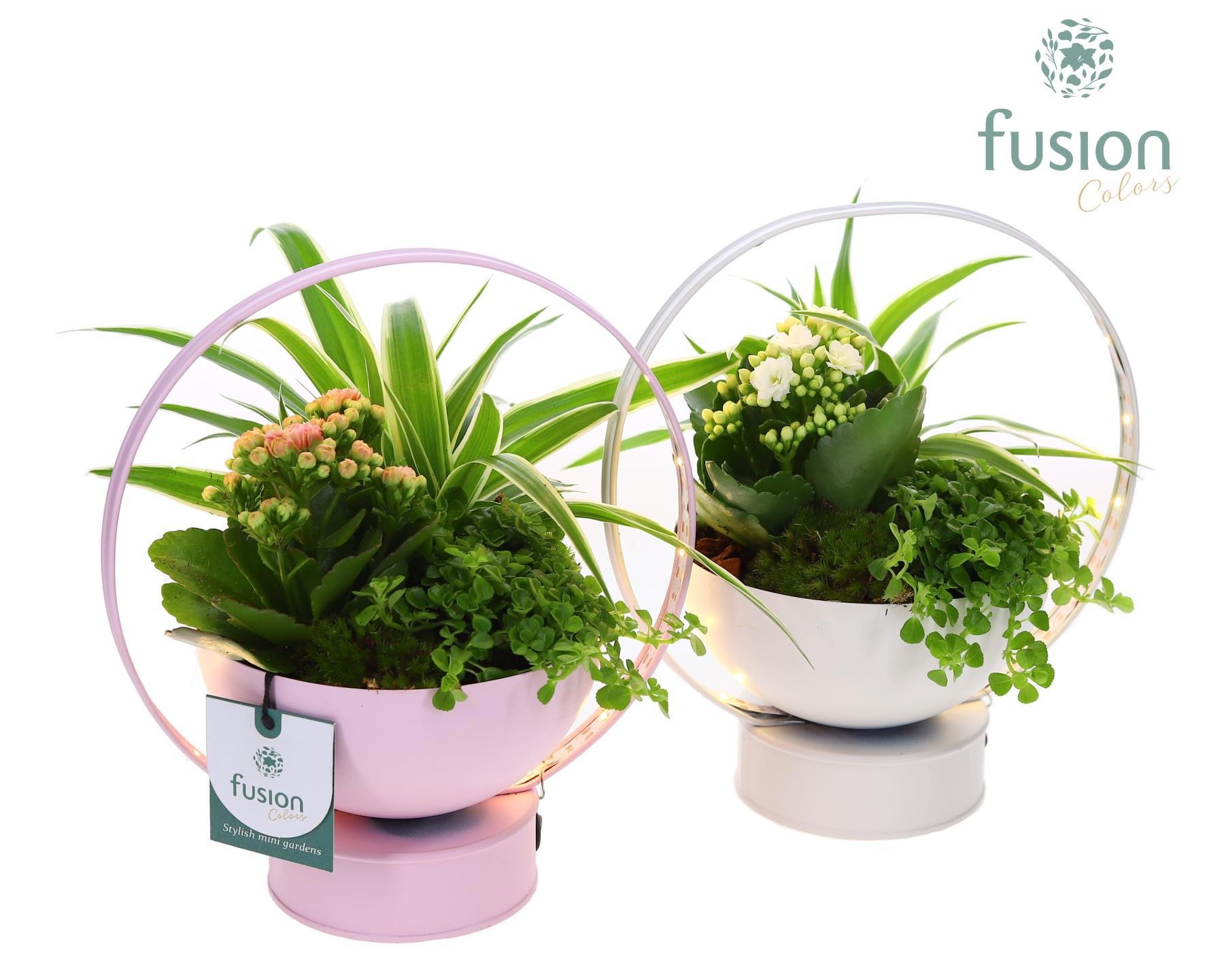 LED planter zink schaal met arrangement, D 20