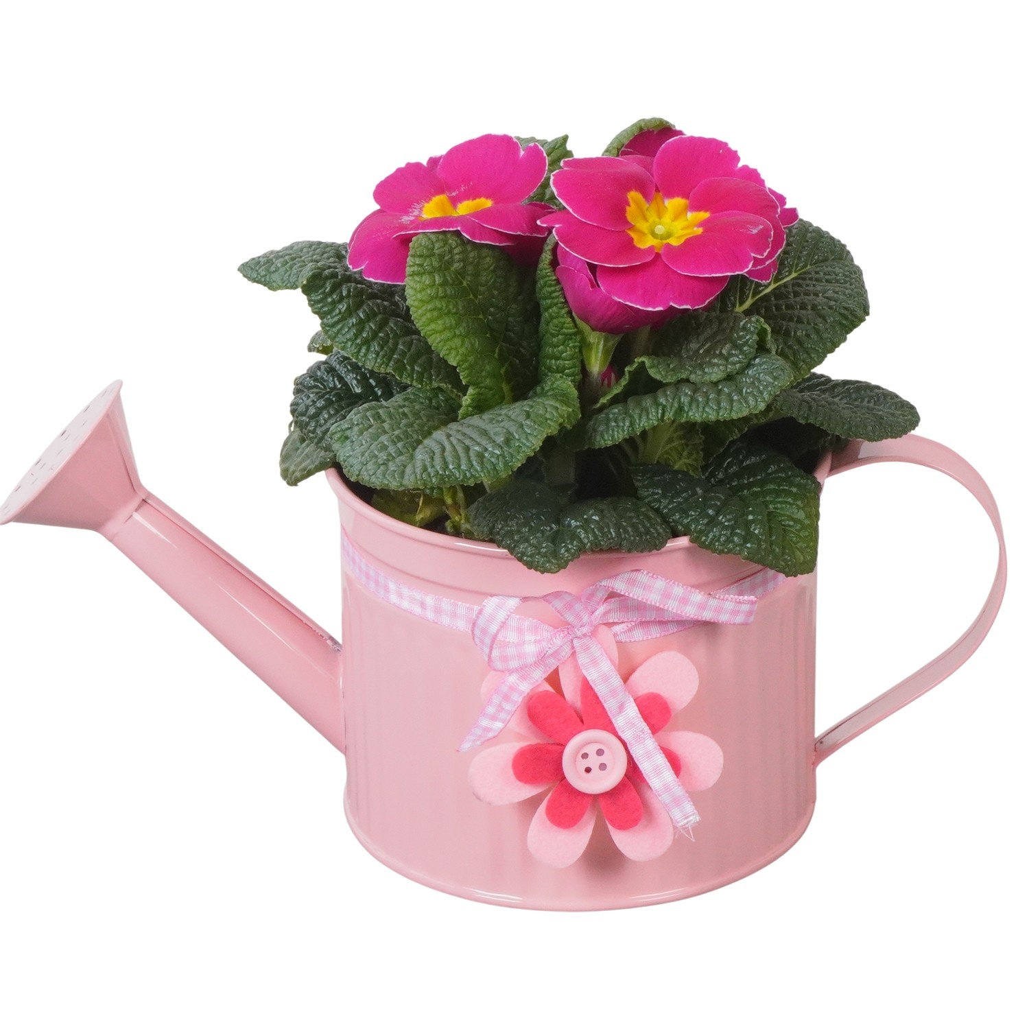 PTBM3740 Arrangement Flower Bulbs Mix in metalen gieter, D 12