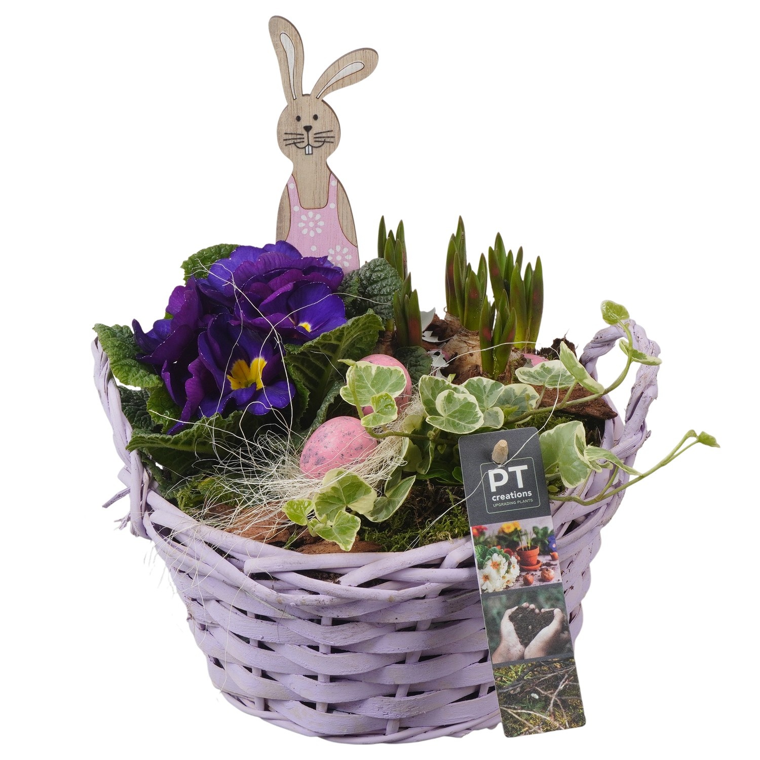 PTBMP5699 Arrangement Easter Bulbs Mix in rieten mand, D 20