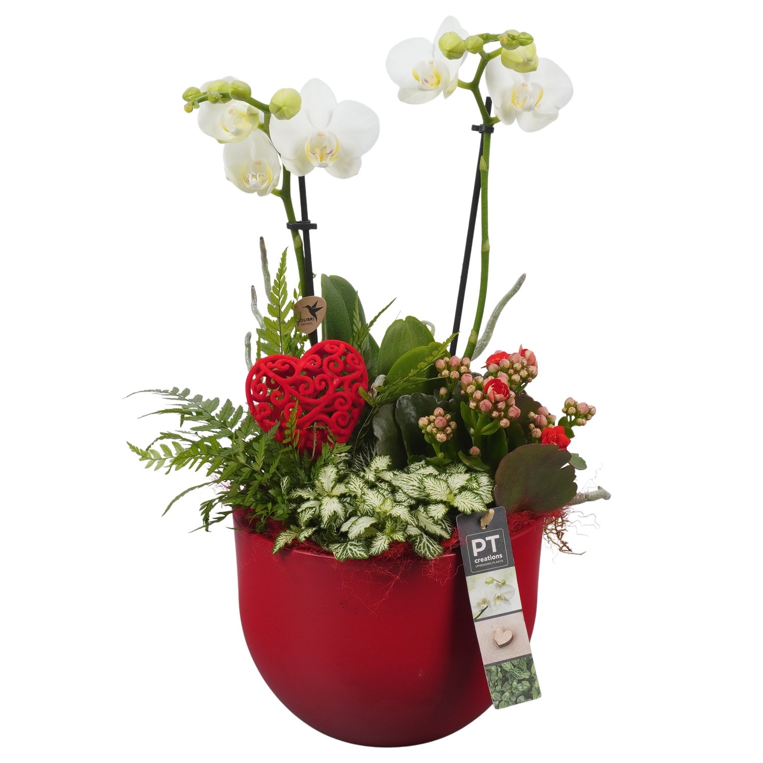 PTVMB2207 Arrangement Valentines-Mothersday in keramiek sierpot, D 19