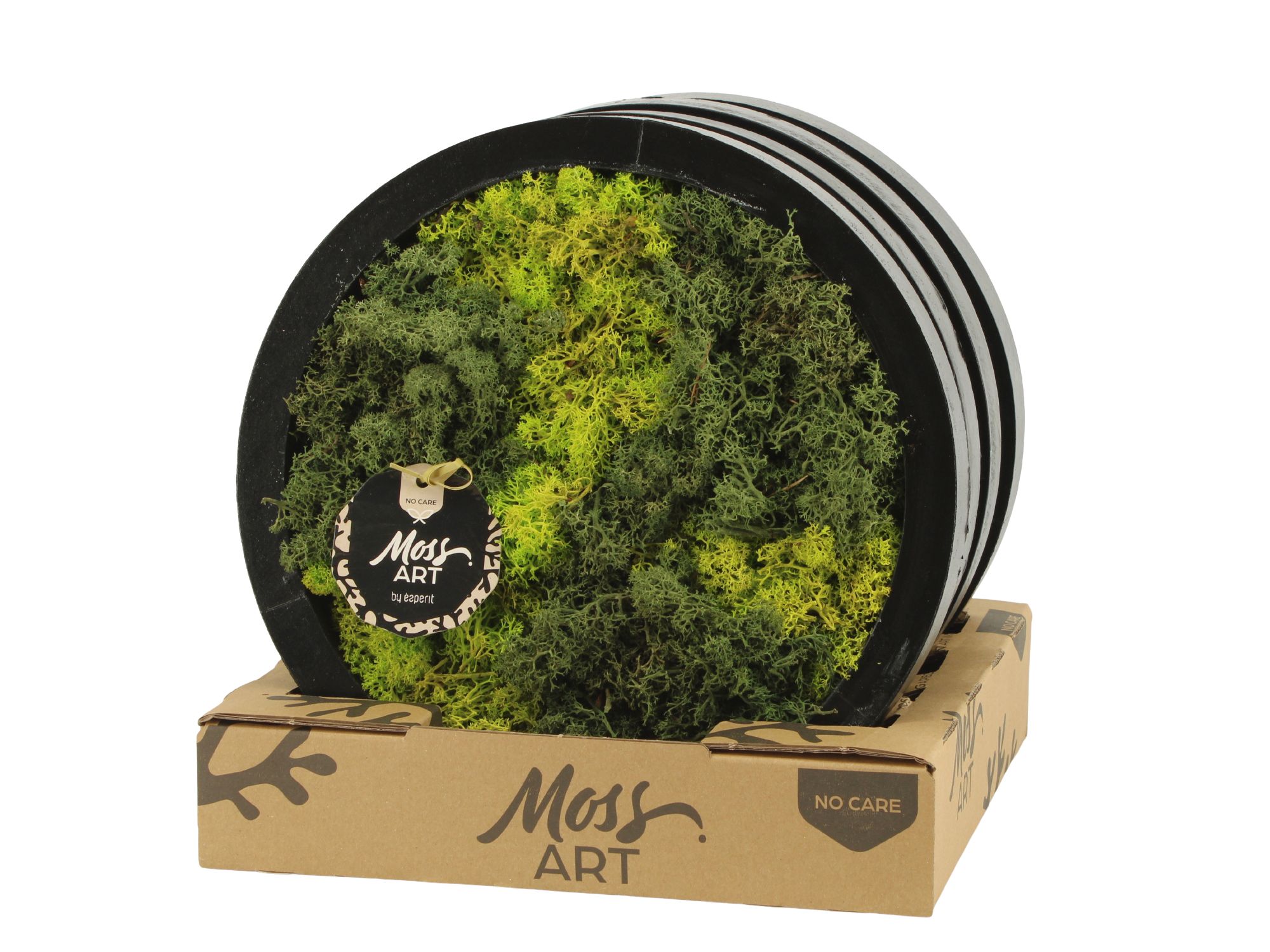 90789: Moss Art Round D27, D 27